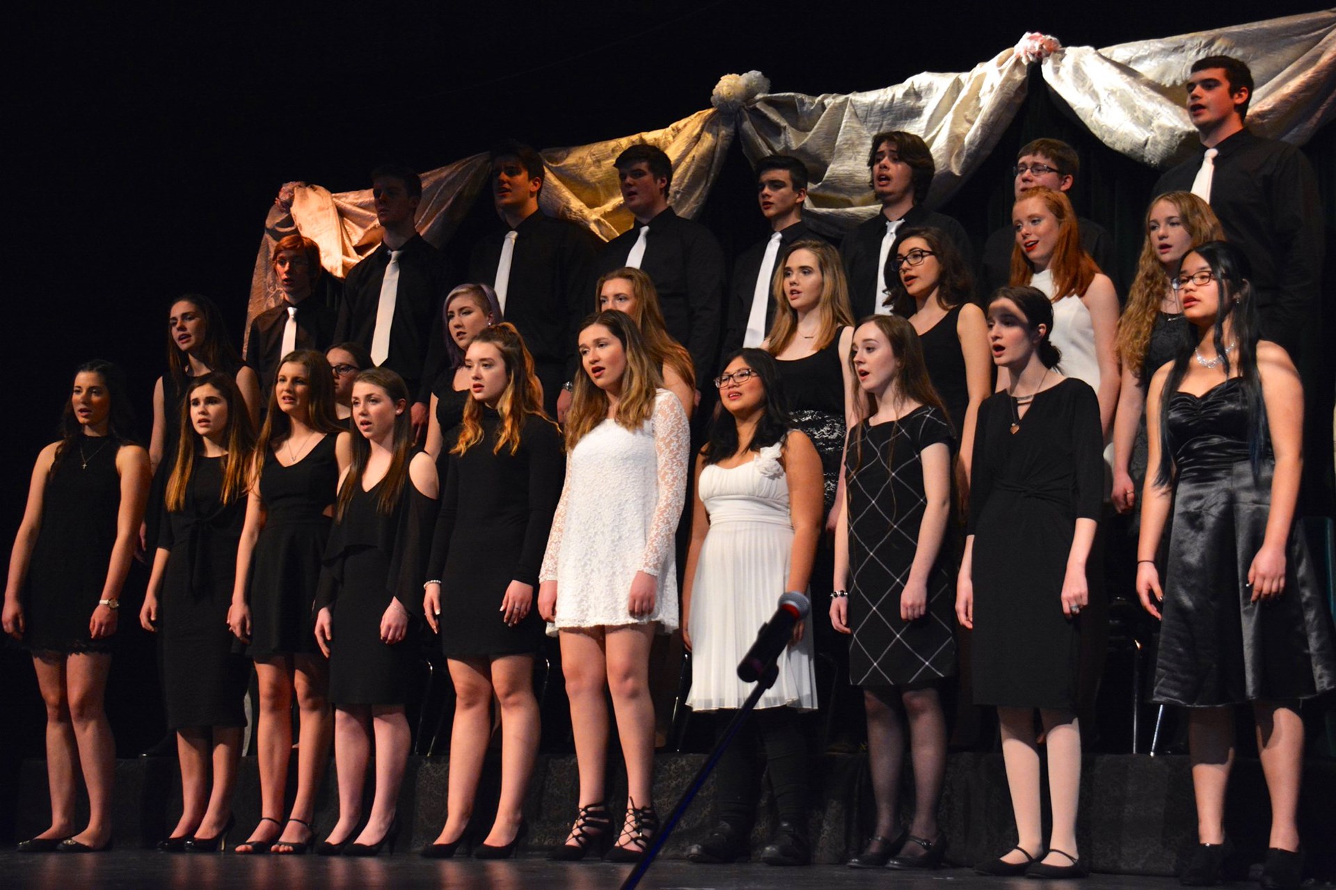 Vocal concert singers ensemble.jpg