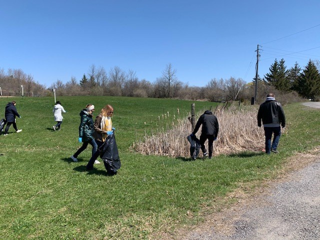 Yard Clean Up.jpg